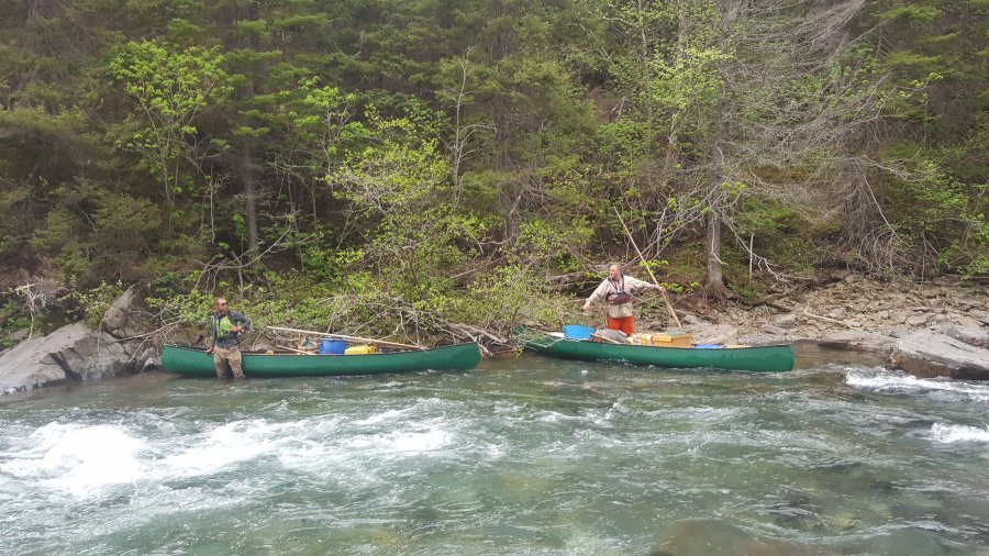 Being A Talented “Bushcrafter” Does Not Make You An Effective Educator