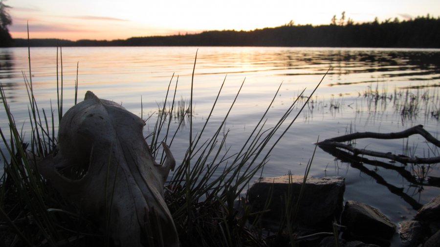 Bushcraft And Outdoor Living Skills In The World Of “Experts”