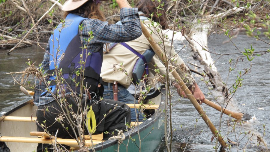 Chopping a strainer out of the river.