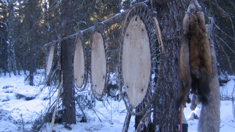 Fur In The Trees