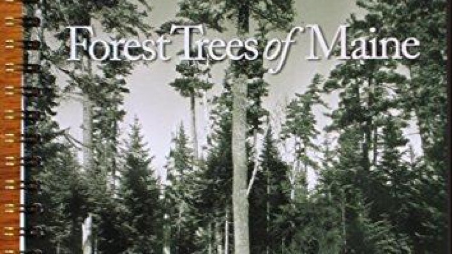 Forest Trees Of Maine – Get This Book