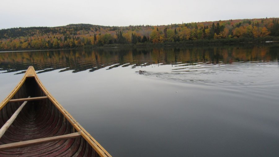 Registration Open For 2021 FFP Wilderness Immersion Course