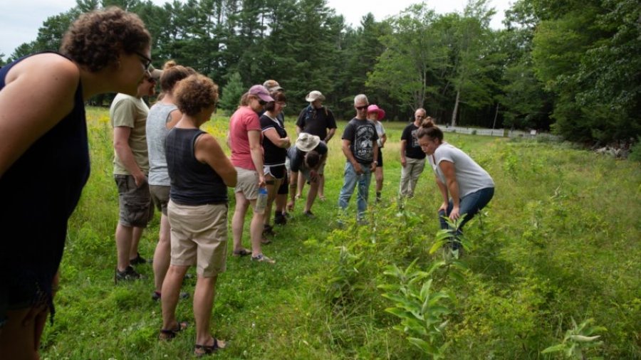 School Of The Forest Podcast Episode Eleven; Wild Food, Foraging And Poetry With Jenna Rozelle