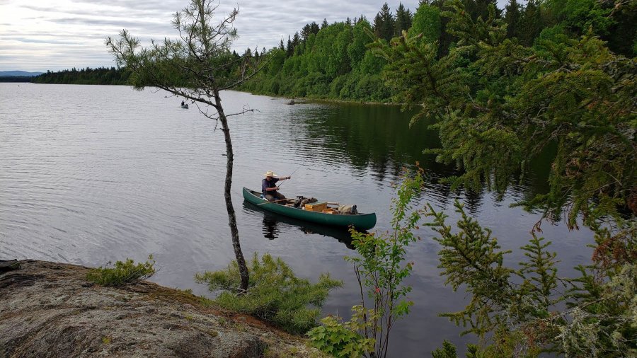 Back From The Allagash, Summer In Full Swing