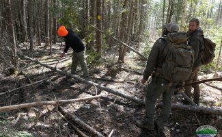 clearing trails with axes
