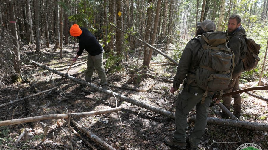 clearing trails with axes