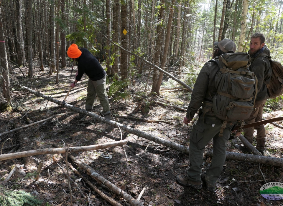 Wilderness Bushcraft Semester 2 Tracks | JMB Blog 1951