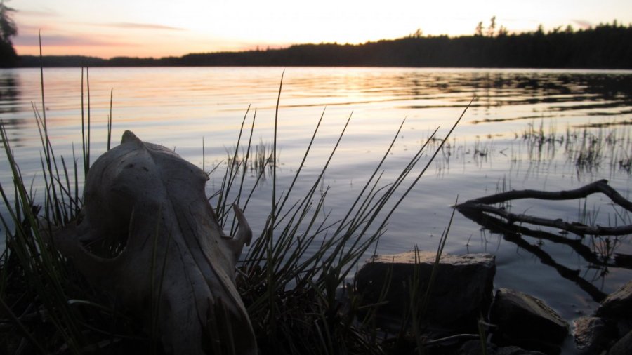Differentiating Our Long Term Residential And One Weekend A Month Bushcraft/ Wilderness Guide Immersion Programs