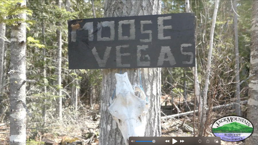 Moose Vegas Sign
