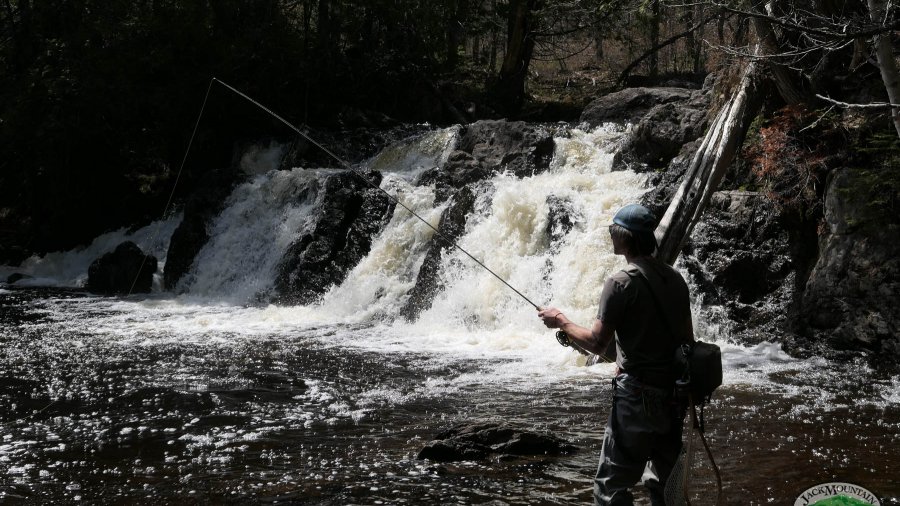 fly fishing by the falls