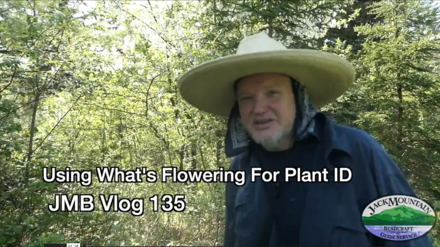 Plant ID By Flower | JMB Vlog 135