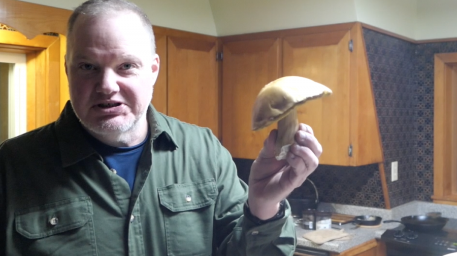 Wild Mushroom & Apple Harvest | JMB Vlog 142