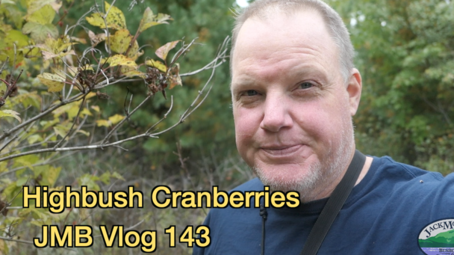 Highbush Cranberries | JMB Vlog 143