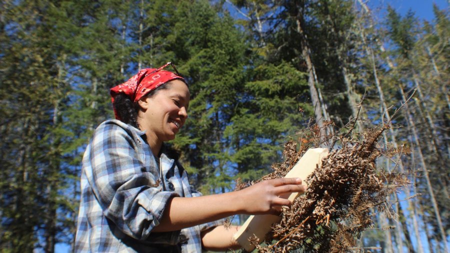 Introducing the newest Jack Mountain Bushcraft School instructor, Tessa Storey.
