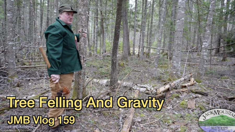 Picture of standing in front of a tree with an axe