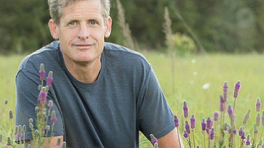 Sam Thayer field guide image