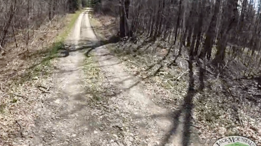 Photo of the access road to the JMB field school