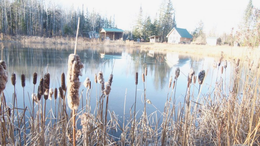 Autumn Woodsman, Session 2, Added to Calendar for November 5-11, 2023