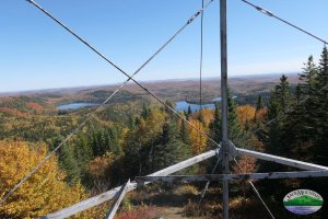 Peak northern Maine foliage shot from the Deboullie mountain fire tower.
