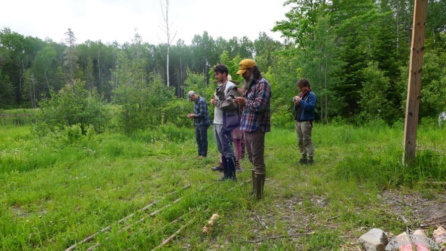Using a compass to take a bearing in the field