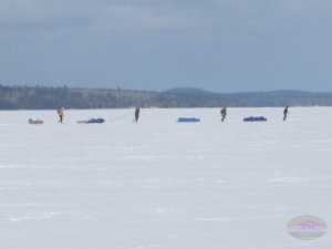 hauling sleds across a frozen lake