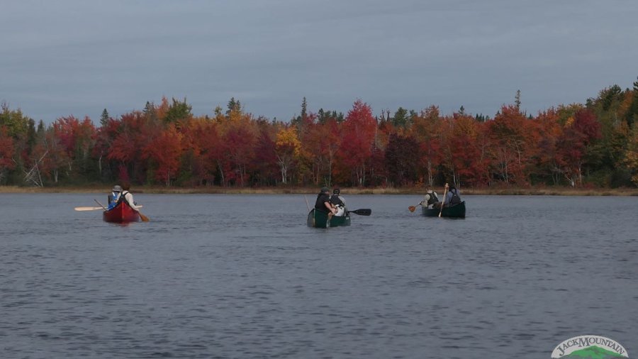 Foliage from a canoe trip this fall.