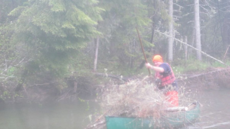 Ferrying firewood across the river in a canoe