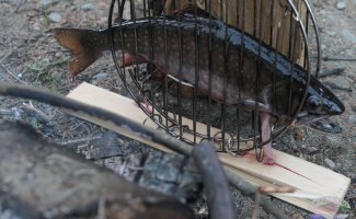Brook trout roasting by the fire