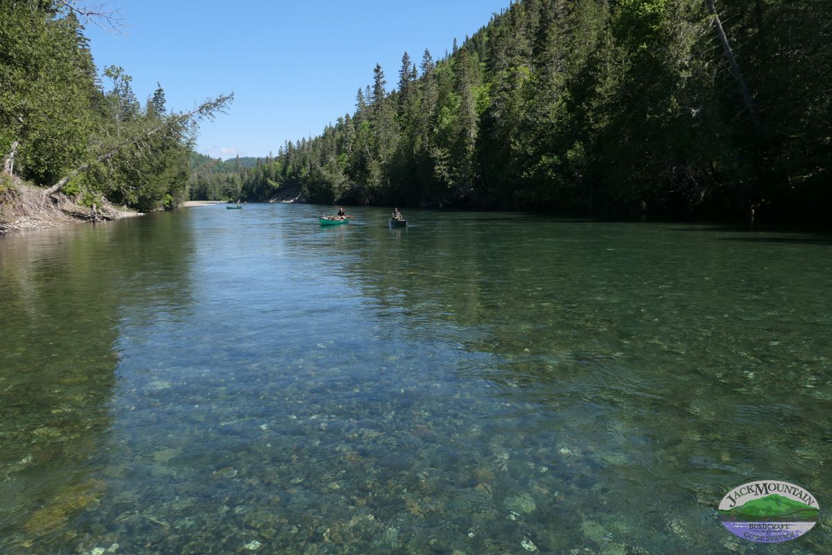 clear waters of the Bonaventure river