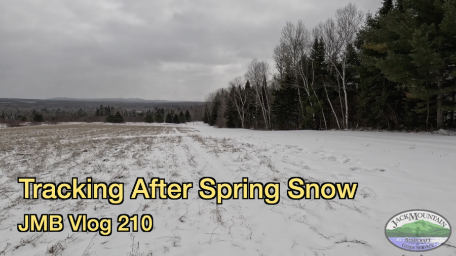 cover photo for episode 210 of the vlog, a snow covered field