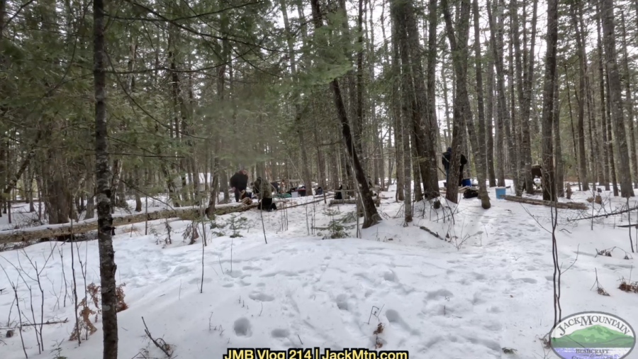 snowy woods scene