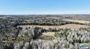 Ariel view over the Jack Mountain Bushcraft field school