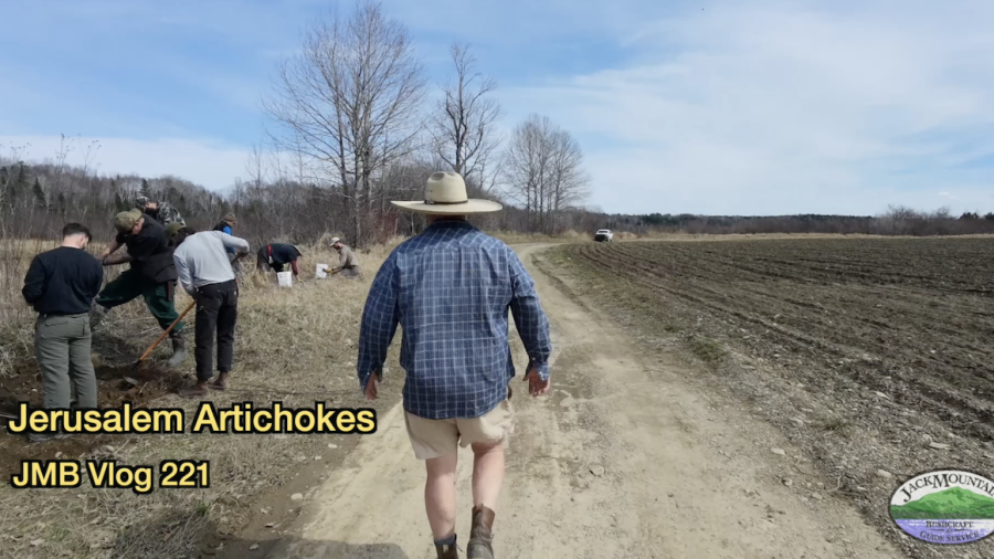 Digging jerusalem artichokes by the river