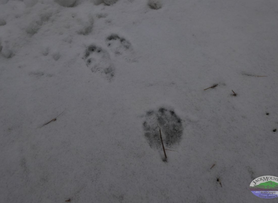 Year 27 Begins With Long Term Program Number 68 | JMB Blog 1952