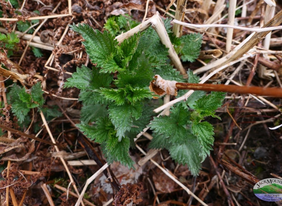 The Human Side Of The Weather | JMB Blog 1959
