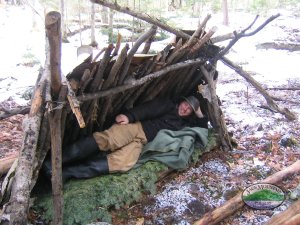 small lean-to made with birch bark