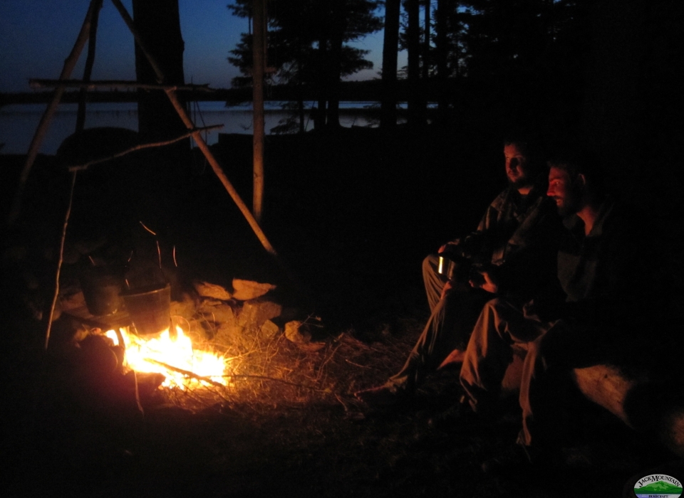 Summer Of 69 And Adventures With Wild Plants | JMB Blog 1966